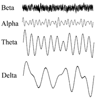 Gehirnwellen