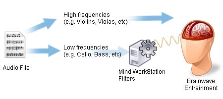 Mind WorkStation - Filter