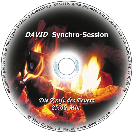 Bild von DAVID Synchro-Session "Die Kraft des Feuers"