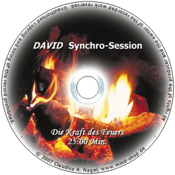 Bild von DAVID Synchro-Session "Die Kraft des Feuers"
