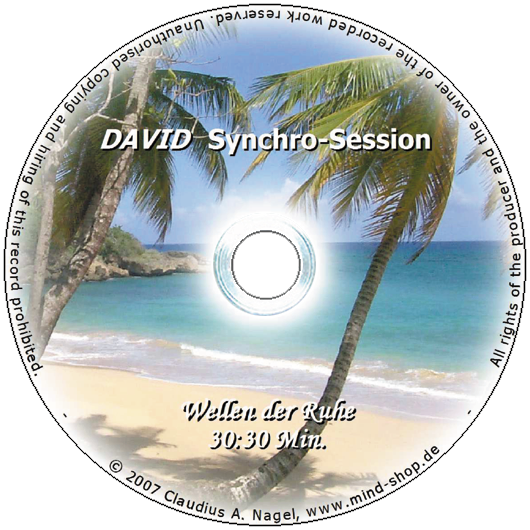 Bild von DAVID Synchro-Session "Wellen der Ruhe"