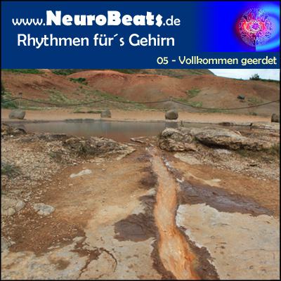 Bild von NeuroBeat 05: Vollkommen geerdet