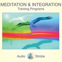 Bild von Meditation & Integration (Tamas Lab.)