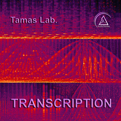 Bild von TRANSCRIPTION (Tamas Lab.)